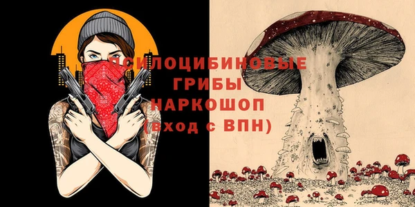 бошки Балахна