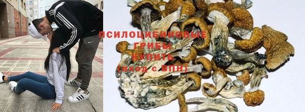 бошки Балахна
